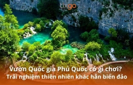 Vườn Quốc gia Phú Quốc có gì chơi? Ngắm nhìn một thiên nhiên rất khác