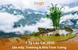 Ý Tý Lào Cai 2026: Chinh phục biển mây, giải mã văn hóa Hà Nhì