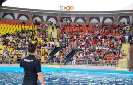 Tixgo | Vi vu thật dễ