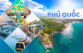 Tixgo | Vi vu thật dễ