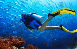 Tixgo | Vi vu thật dễ