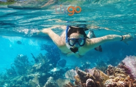 Tixgo | Vi vu thật dễ