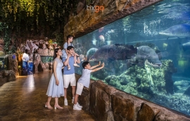 Tixgo | Vi vu thật dễ