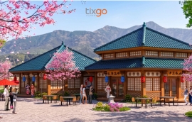 Tixgo | Vi vu thật dễ