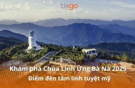 Tixgo | Vi vu thật dễ