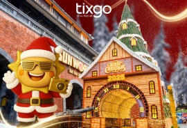 Tixgo | Vi vu thật dễ