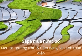 Tixgo | Vi vu thật dễ Sapa mùa nước đổ: Kiệt tác "gương trời" & Cẩm nang săn ảnh toàn diện