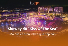 Tixgo | Vi vu thật dễ