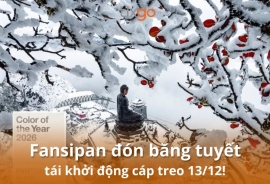 Tixgo | Vi vu thật dễ