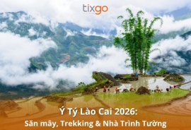 Tixgo | Vi vu thật dễ Ý Tý Lào Cai 2026: Chinh phục biển mây, giải mã văn hóa Hà Nhì