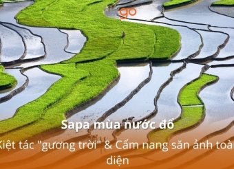 Sapa mùa nước đổ: Kiệt tác "gương trời" & Cẩm nang săn ảnh toàn diện