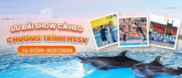 Tixgo | Vi vu thật dễ