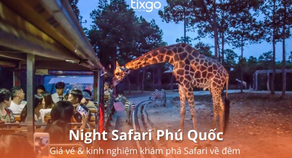 Tixgo | Vi vu thật dễ