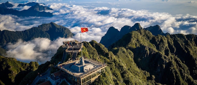 Tixgo | Vi vu thật dễ