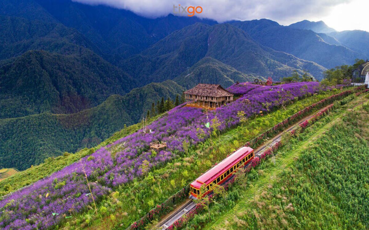 tàu hỏa mường hoa