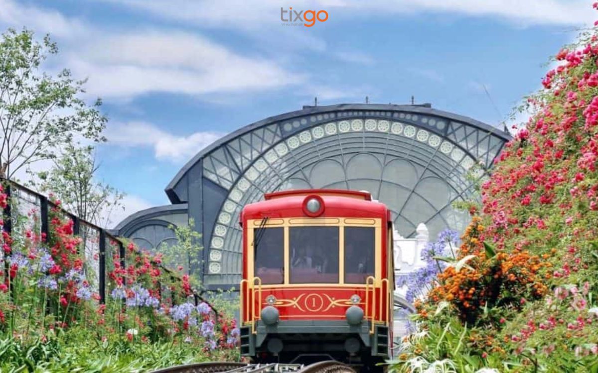 tàu hỏa mường hoa