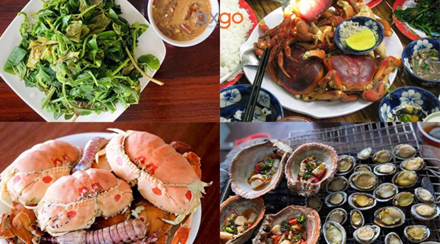 tour cù lao chàm Tour Cù Lao Chàm: Trải nghiệm hải sản đặc trưng