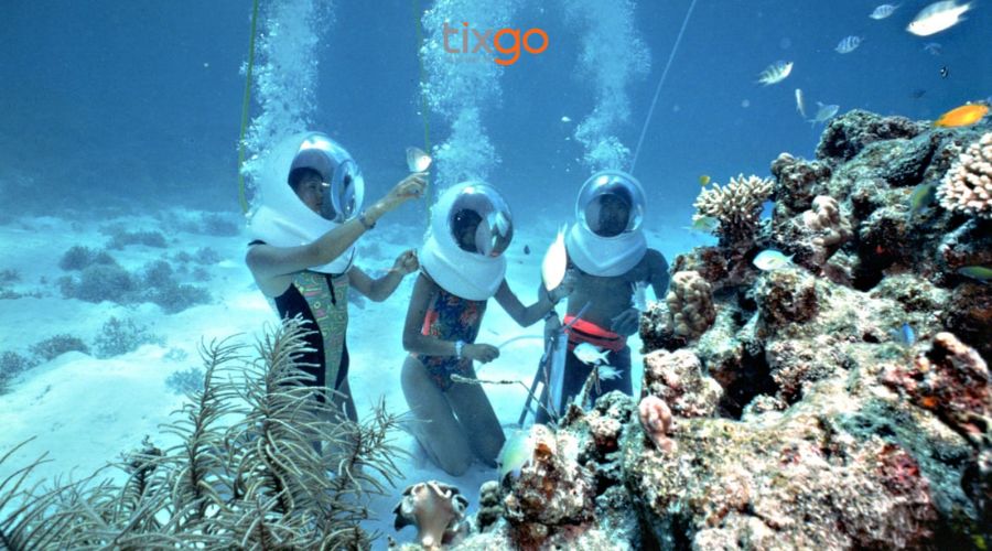 tour cù lao chàm Tour Cù Lao Chàm 1 ngày và đi bộ dưới biển