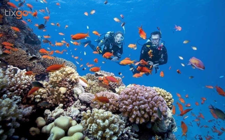 Tour Đà Nẵng 1 ngày: Tour khám phá Cù Lao Chàm 1 ngày