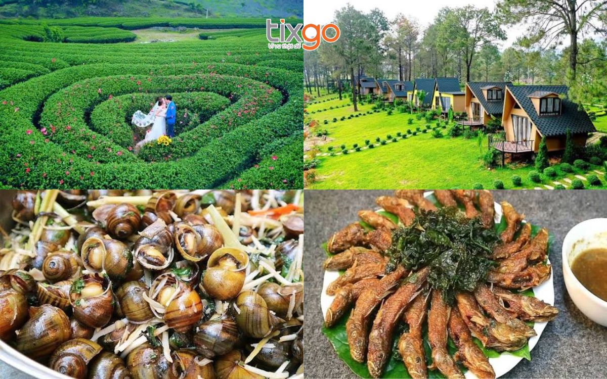 tháng 10 nên đi du lịch ở đâu tháng 10 nên đi du lịch ở đâu