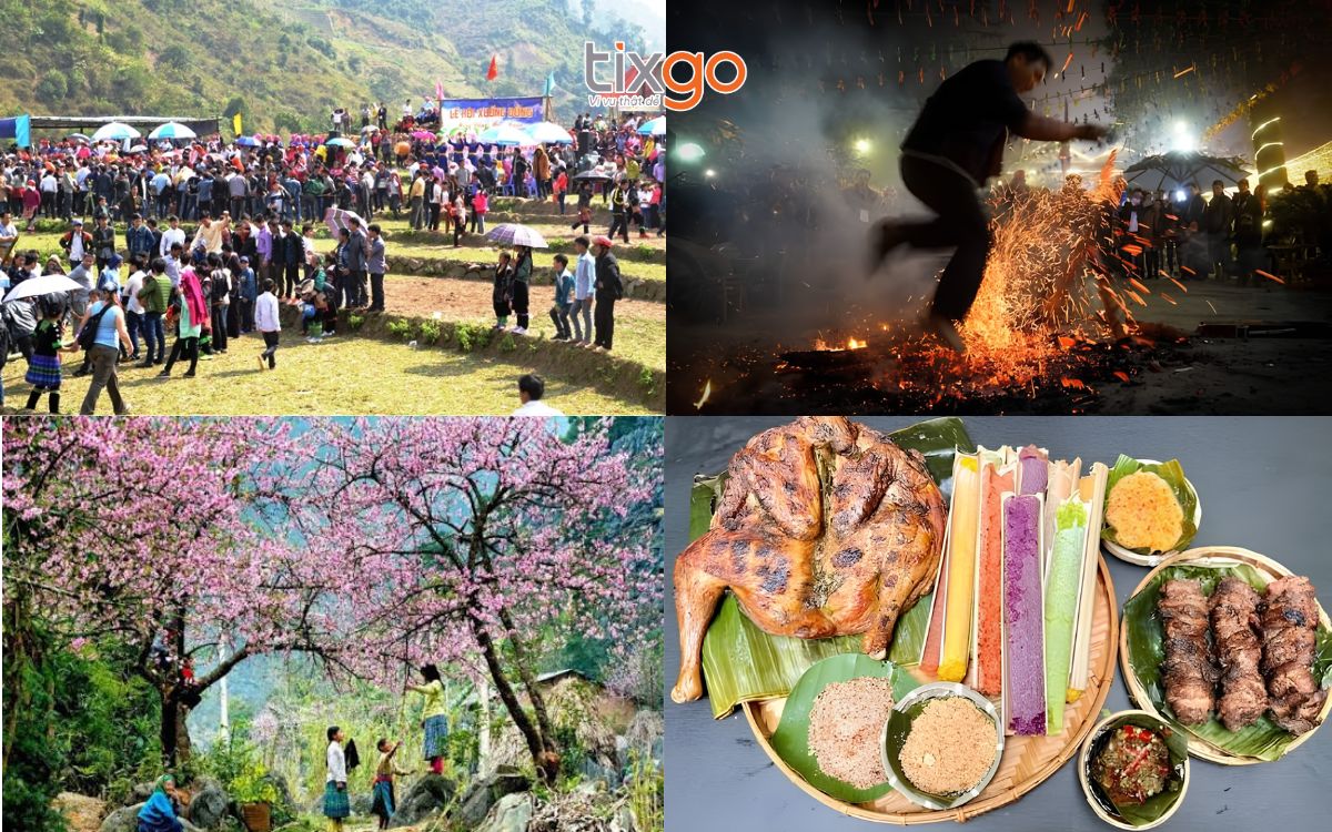 tết nên đi đâu du lịch tết nên đi đâu du lịch
