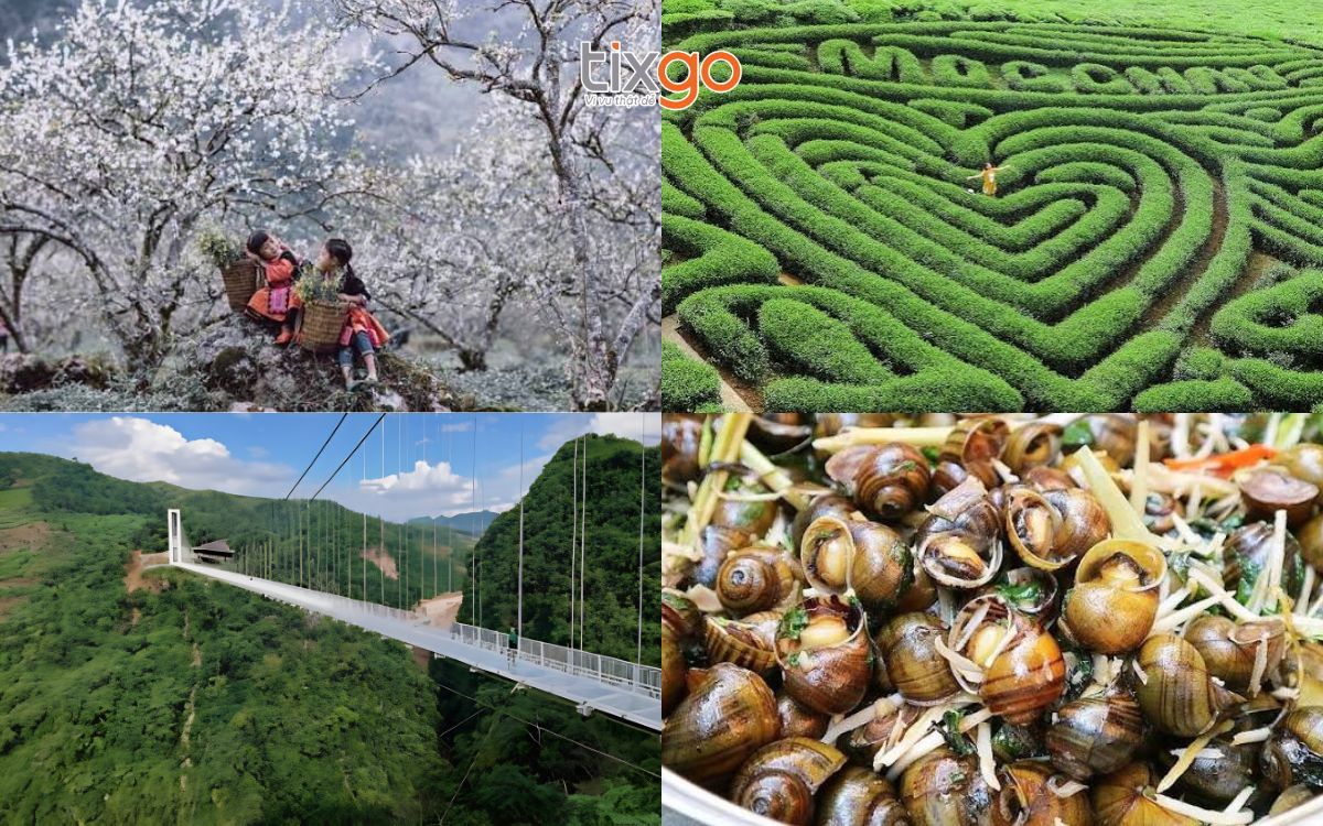 tết nên đi du lịch ở đâu tết nên đi du lịch ở đâu