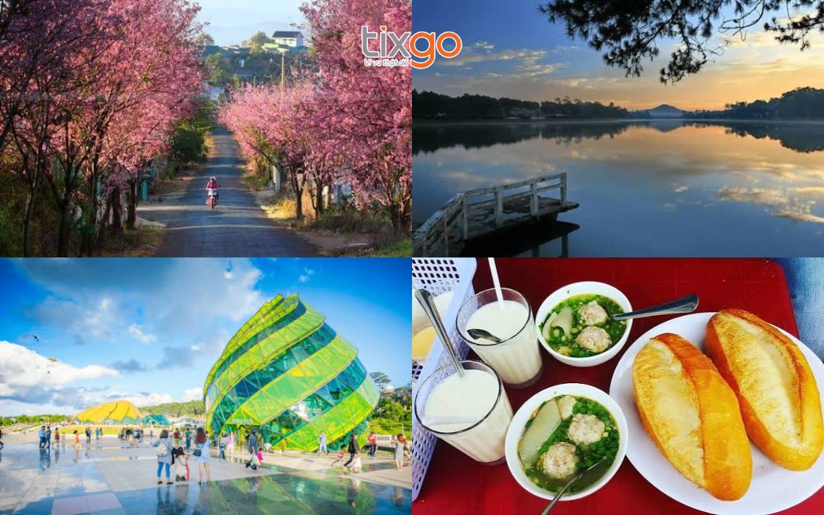 Tết nên đi du lịch ở đâu Tết nên đi du lịch ở đâu