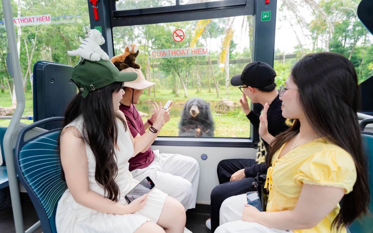 vinwonders và safari phú quốc ưu đãi 2026 