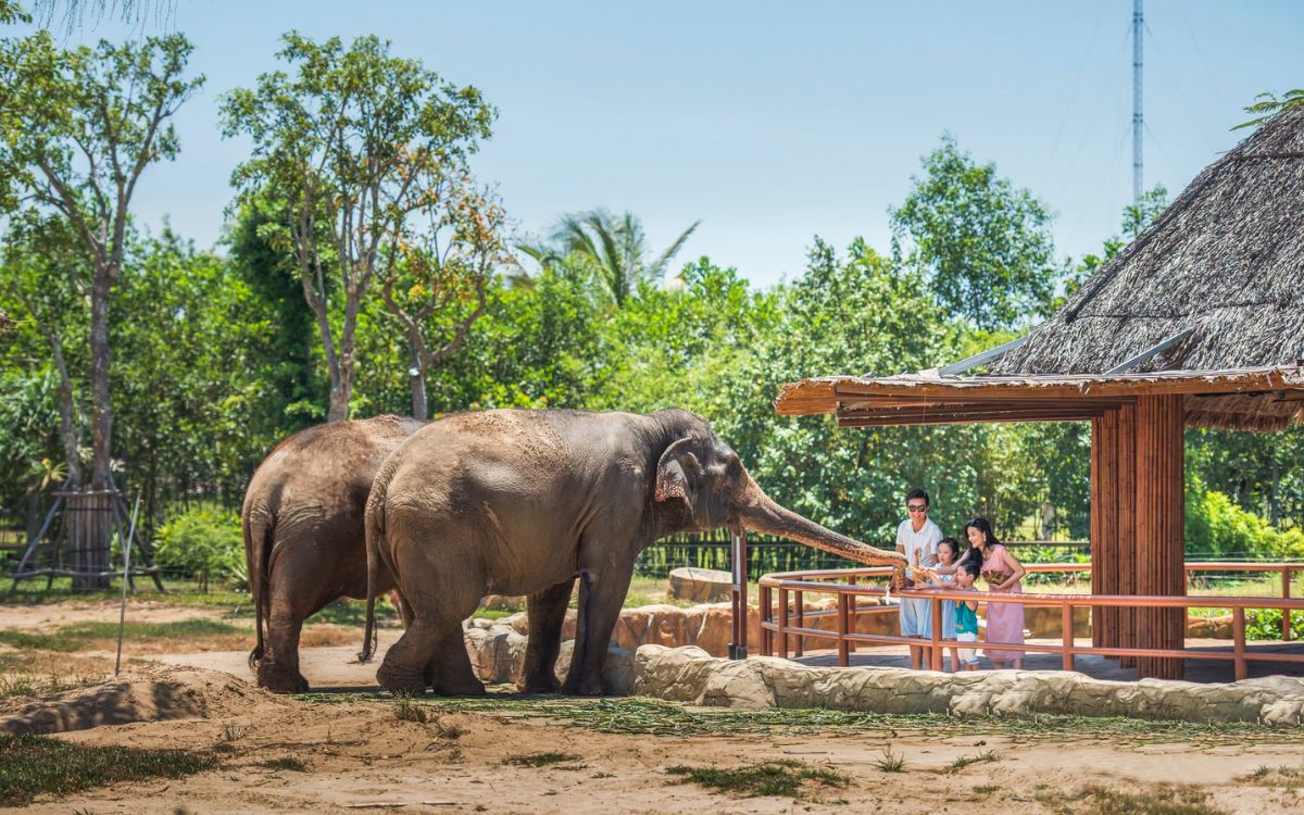 vinwonders nam hội an ưu đãi người địa phương vinwonders nam hội an ưu đãi người địa phương