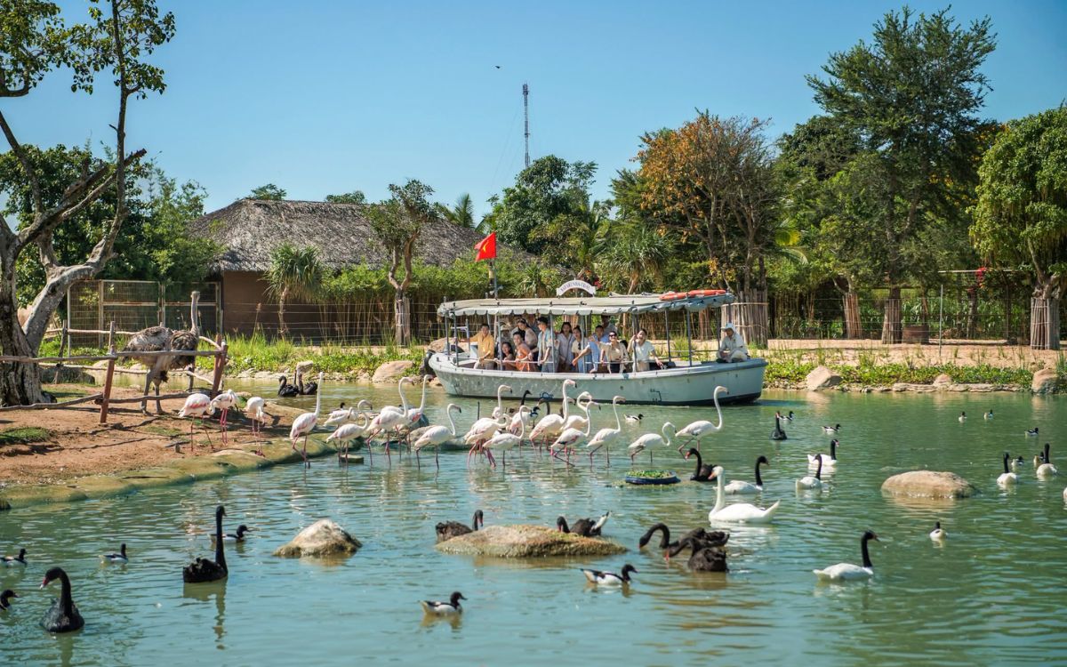 vinwonders nam hội an ưu đãi người địa phương vinwonders nam hội an ưu đãi người địa phương