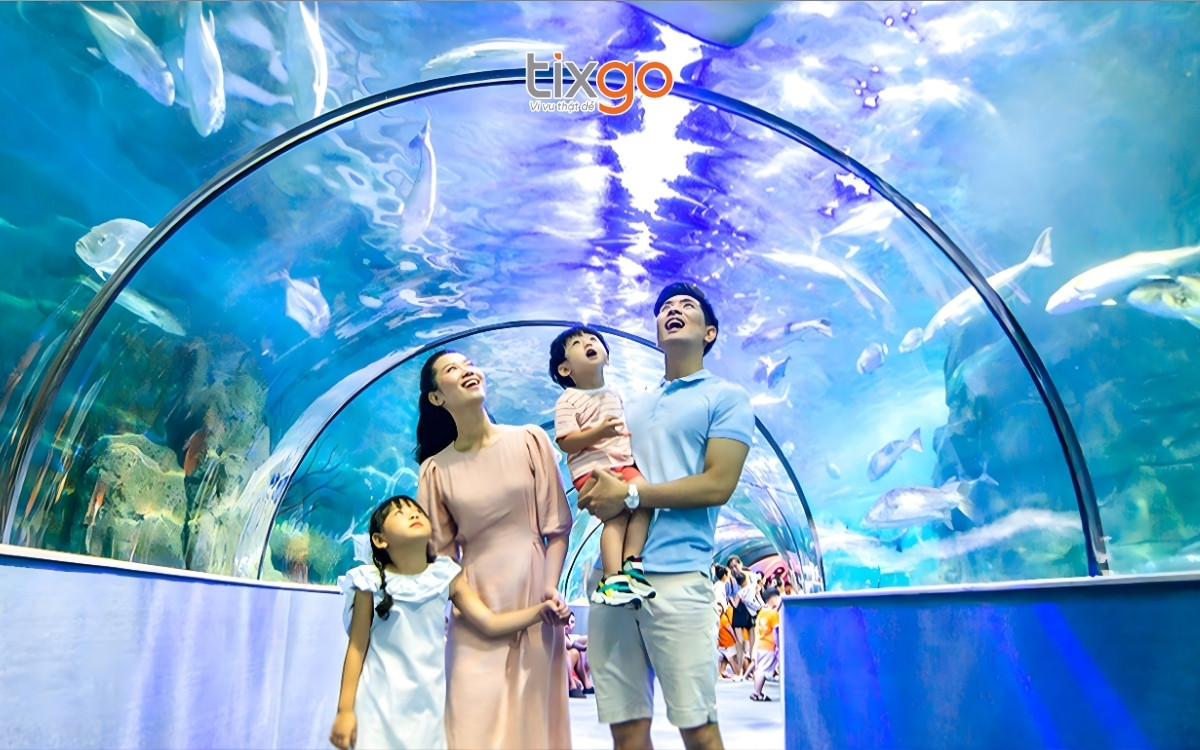 Thủy cung Times City là thủy cung có đường hầm đầu tiên tại Hà Nội