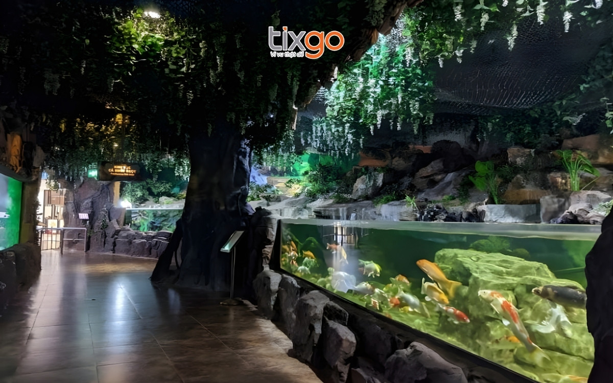 Tham quan khu nước ngọt tại Thủy cung Times City