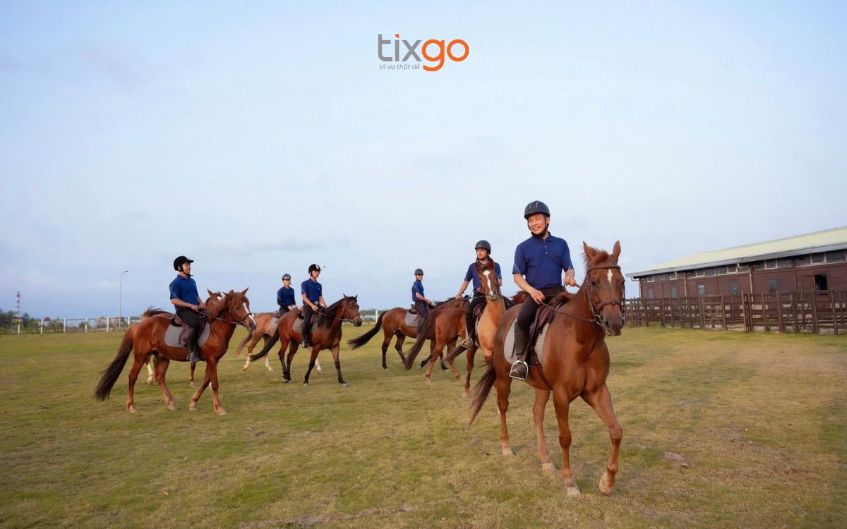 vinpearl horse academy vũ yên vinpearl horse academy vũ yên