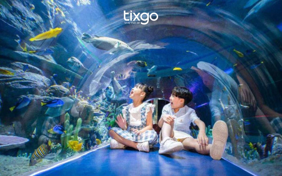 Đường hầm kính trong suốt ấn tượng tại Sea World vinwonders Nha Trang