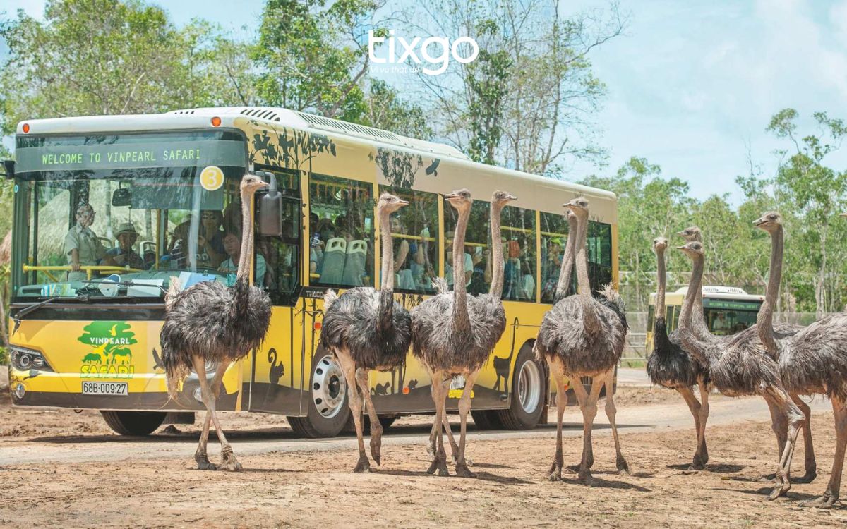 vé vinpearl safari phú quốc vé vinpearl safari phú quốc