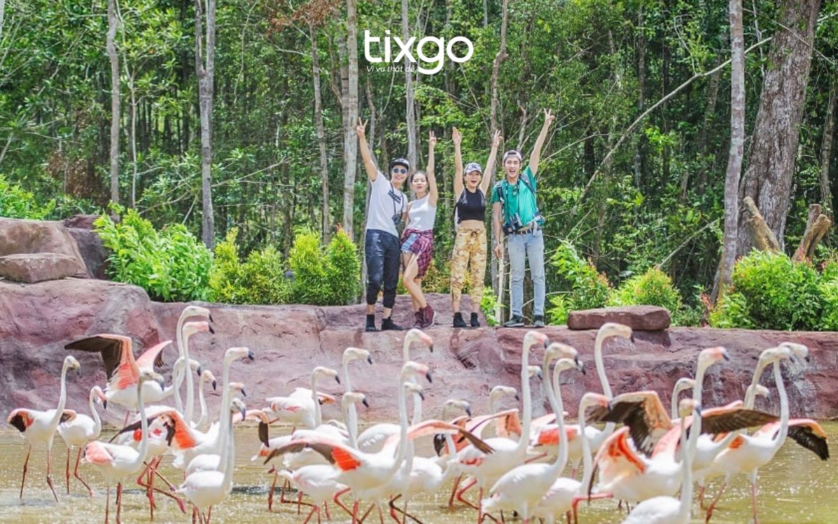 đặt vé safari phú quốc đặt vé safari phú quốc