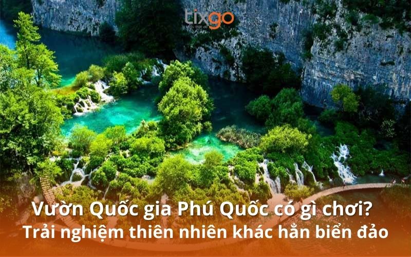 Vườn quốc gia Phú Quốc là lá phổi xanh khổi lồ của đảo ngọc Vườn quốc gia Phú Quốc là lá phổi xanh khổi lồ của đảo ngọc