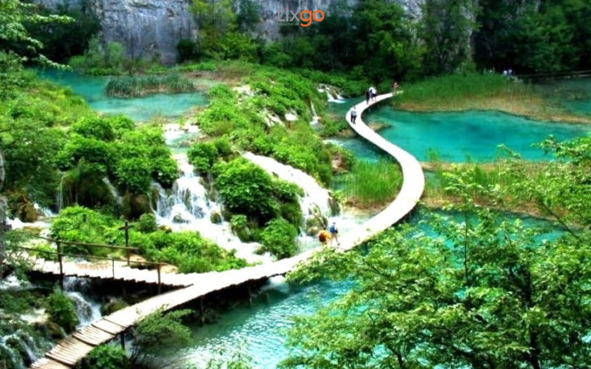 Vườn quốc gia kết hợp hài hòa giữa rừng nguyên sinh, đồi núi, suối thác và biển Vườn quốc gia kết hợp hài hòa giữa rừng nguyên sinh, đồi núi, suối thác và biển