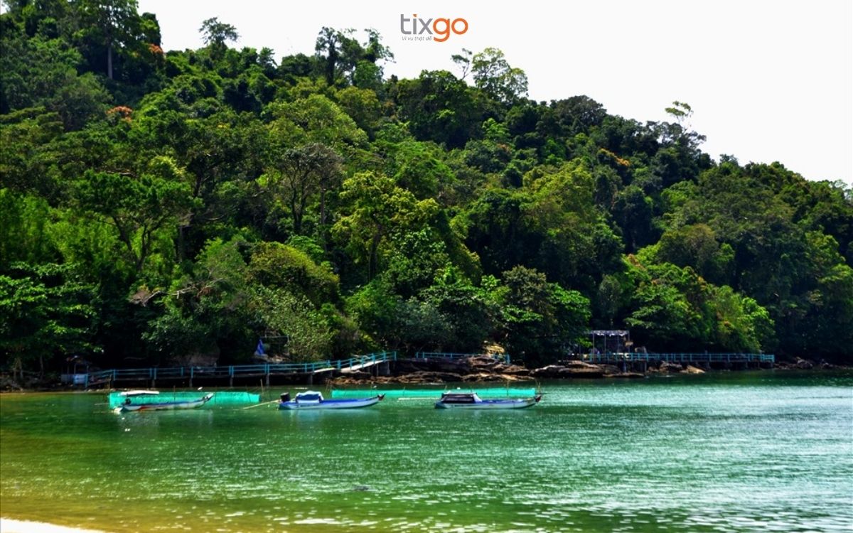 Hệ sinh thái rừng nhiệt đới đa dạng nhất Việt Nam Hệ sinh thái rừng nhiệt đới đa dạng nhất Việt Nam