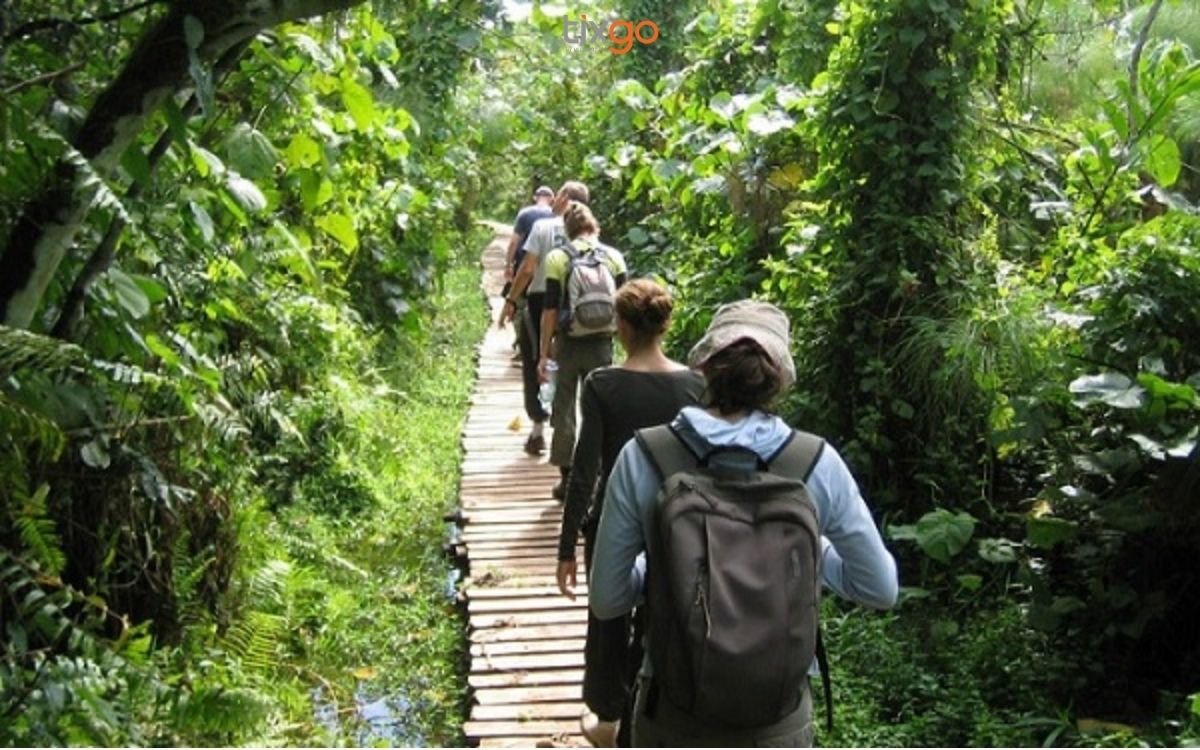 Hoạt động trekking vườn quốc gia được nhiều du khách trẻ yêu thích Hoạt động trekking vườn quốc gia được nhiều du khách trẻ yêu thích