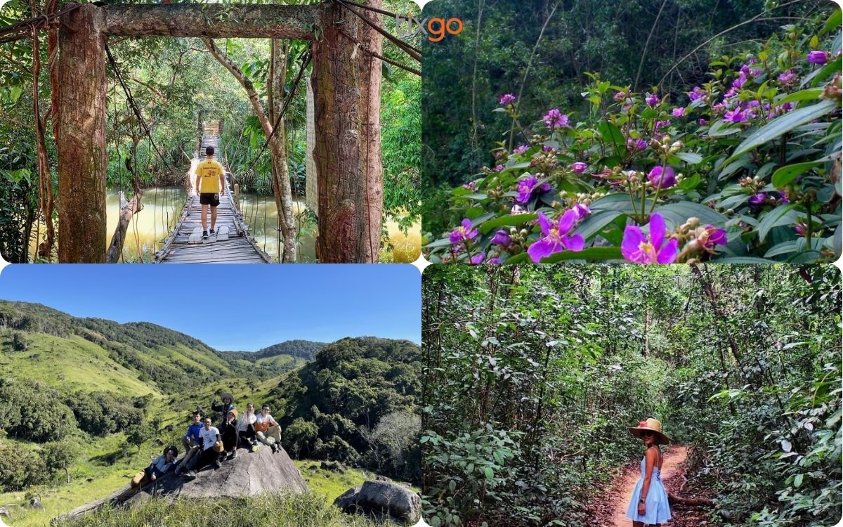 Thiên đường sống ảo tại Vườn Quốc gia ở Phú Quốc Thiên đường sống ảo tại Vườn Quốc gia ở Phú Quốc