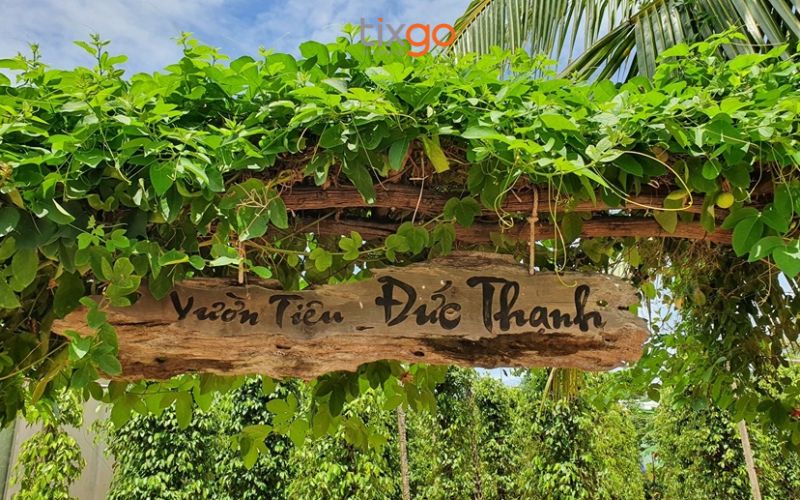 Cổng vào vườn tiêu Đức Thạnh - Một trong những điểm đến quen thuộc và dễ tìm nhất cho du khách.